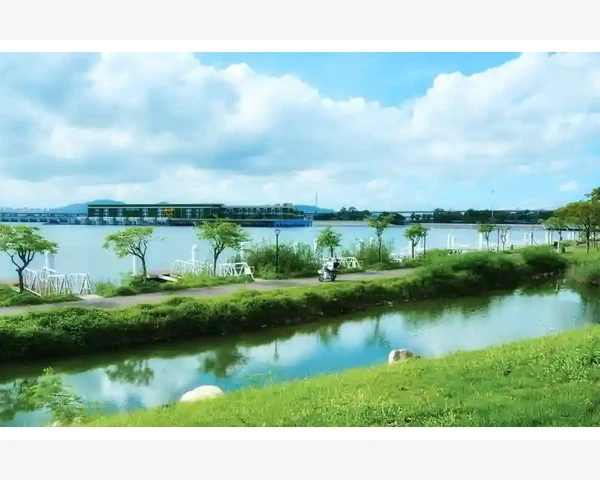 出纳岗位是否必须持有会计证